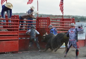 YOU get in the cage now