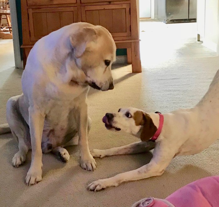 933ED61D-9CB5-404A-AF86-224221C9F20C