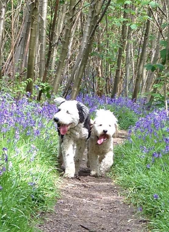 99A49058-3848-4806-A9A7-66F32CCF1804