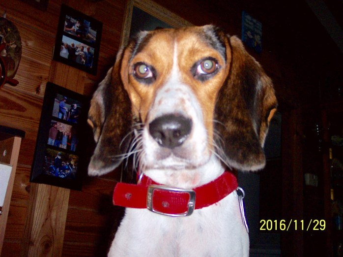 AC126D60-F6E0-4A73-87BA-A18143C5ACEC