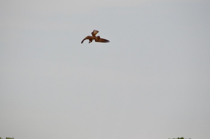 15776756-6B39-430B-8EEA-58141EC47658