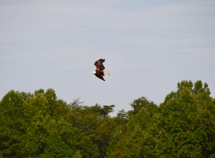 84BAC1EE-6EDC-4C95-B3D7-570A9CF024E9