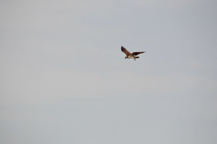 8D0BBB8B-1580-4D65-987F-4F9645C30491