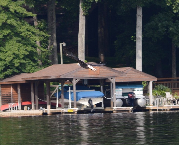 A142696D-8273-4F5D-B1C5-49734225CB5A