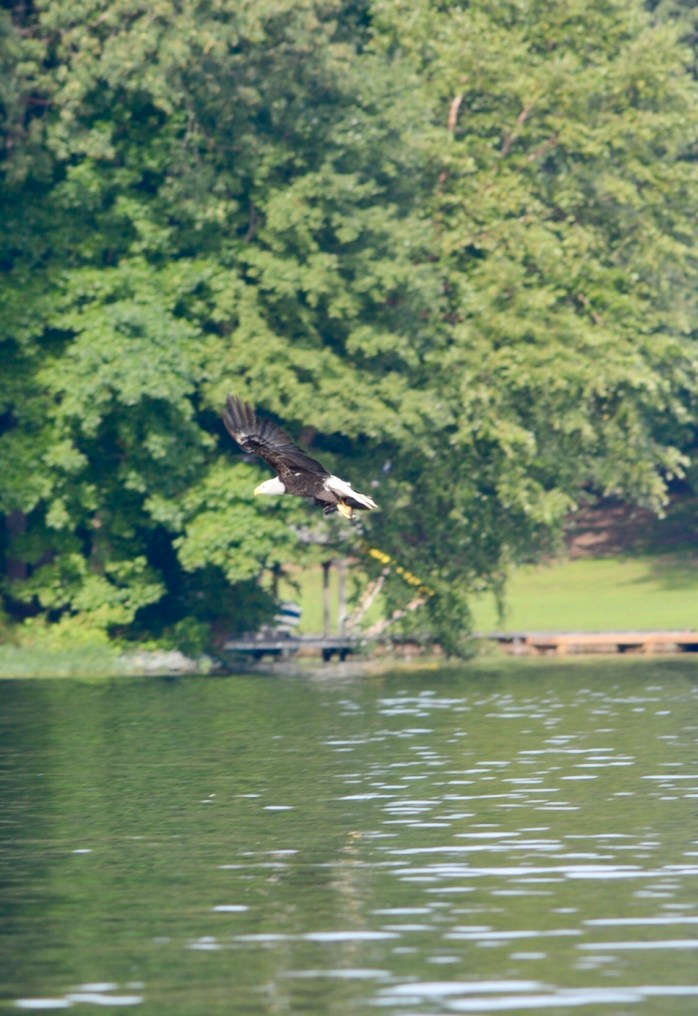 A461B1AF-E9B8-4523-B078-F85D3681537C