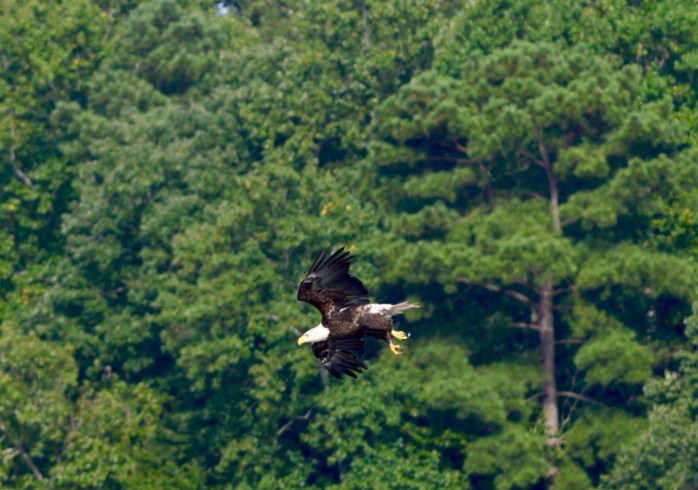 C5773642-7597-4C2D-8D0F-CED267CDAC93