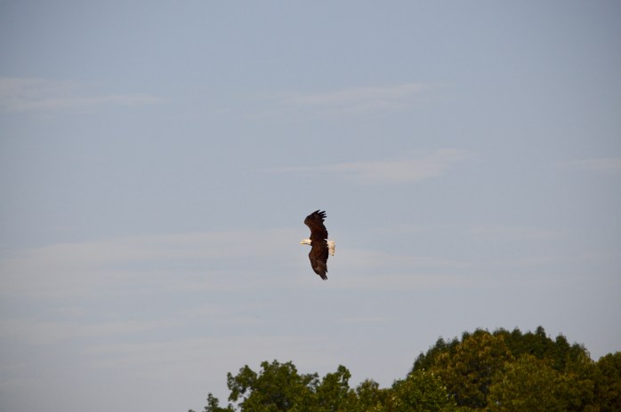 E8FA31CD-90D9-46F0-BF4C-D8F9C3170B0C