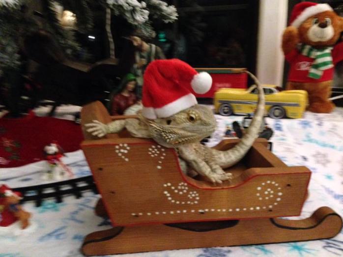 25660226_182662279136482_4183178878221353364_n