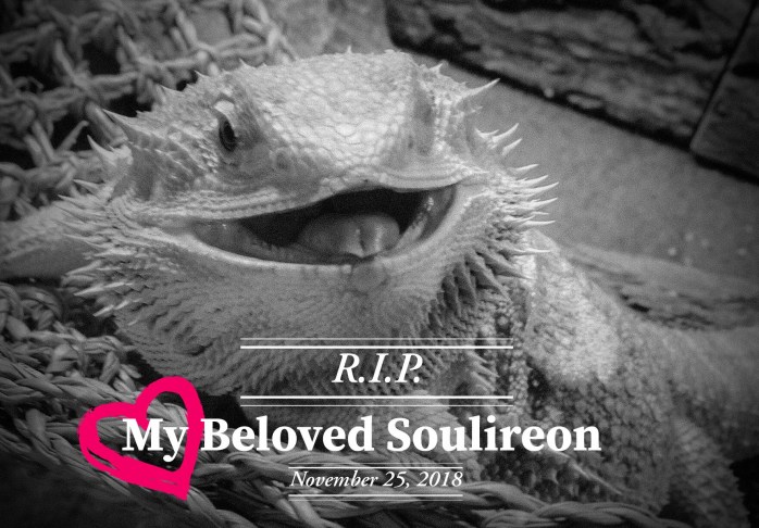 63D44FC7-502D-4E08-86C3-FF1ED3E1DA16