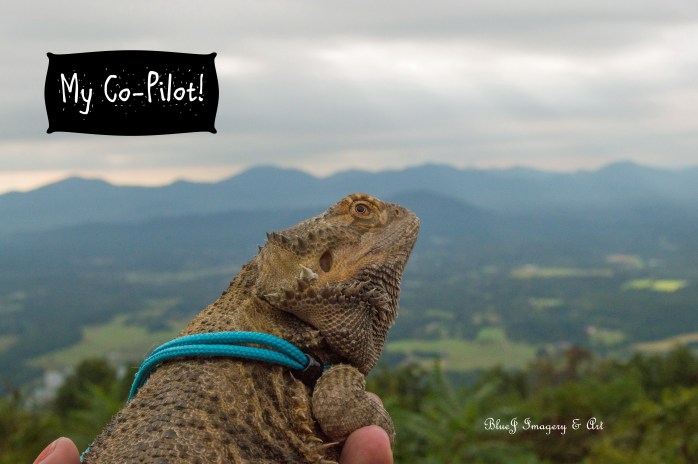 Souli on BRP CoPilot