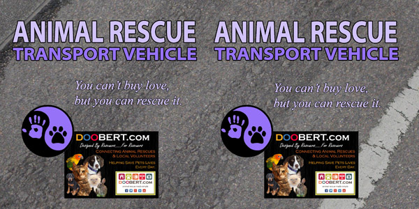 0LR-Rescue Car Magnet - Purple