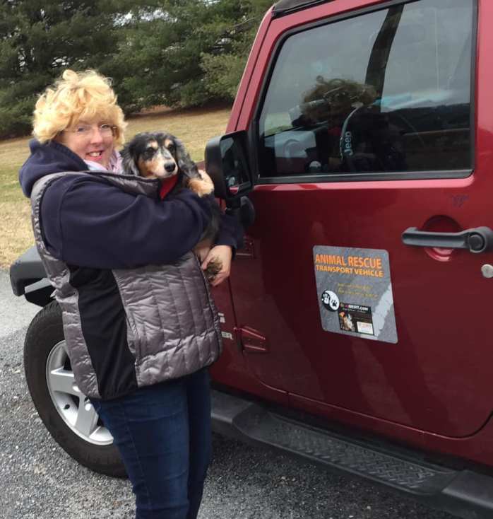 49898815_406329753436399_7459486722812805120_n