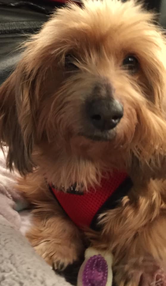 49899448_406329680103073_2816640029458169856_n