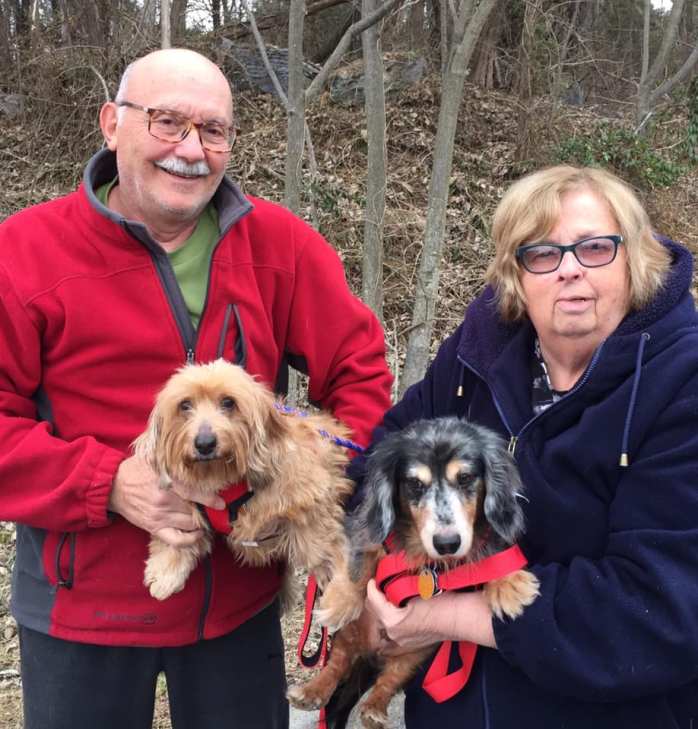 50022244_406329433436431_7561769672454963200_n