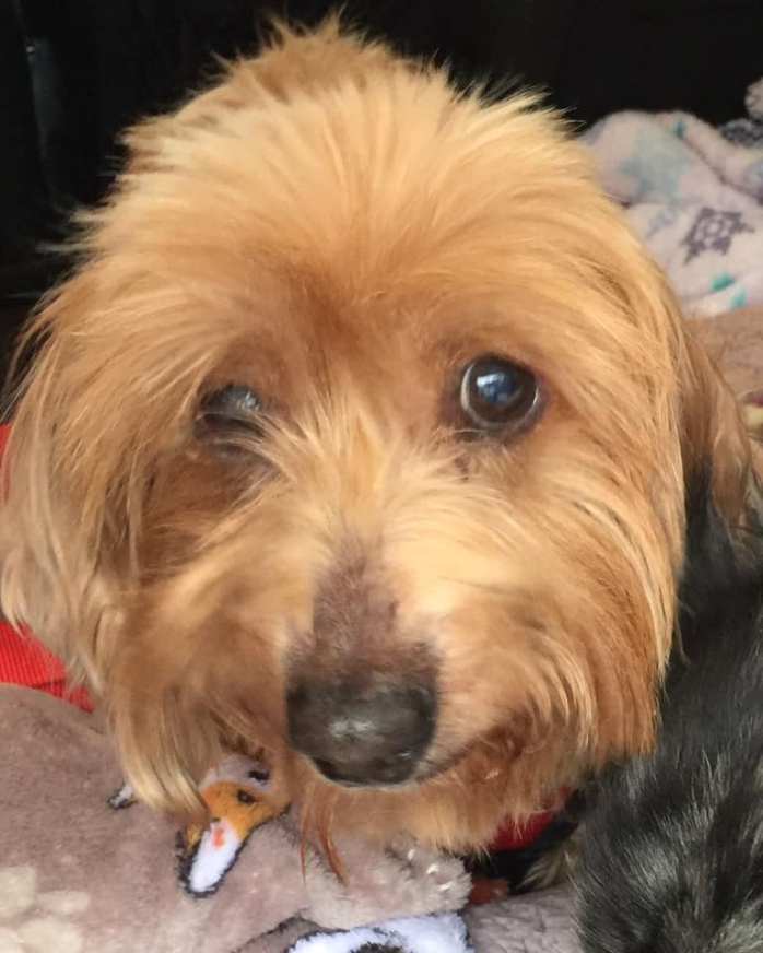 50224097_406329470103094_101445491148980224_n