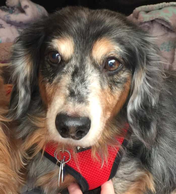 50297065_406329573436417_5416401282963341312_n